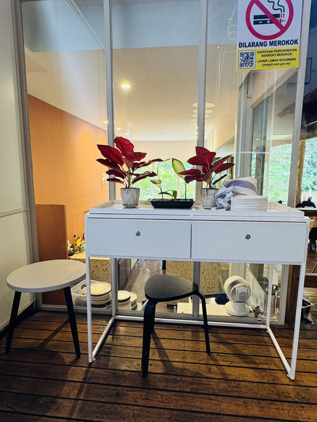 Pineyard Café — A Hidden Forest Dining Experience 