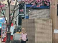 후쿠오카 온어테이블(オンアターブルグラナダスィート)