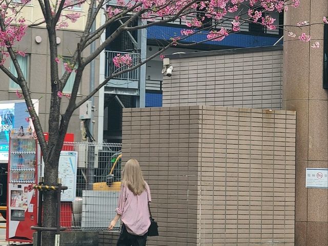 후쿠오카 온어테이블(オンアターブルグラナダスィート)