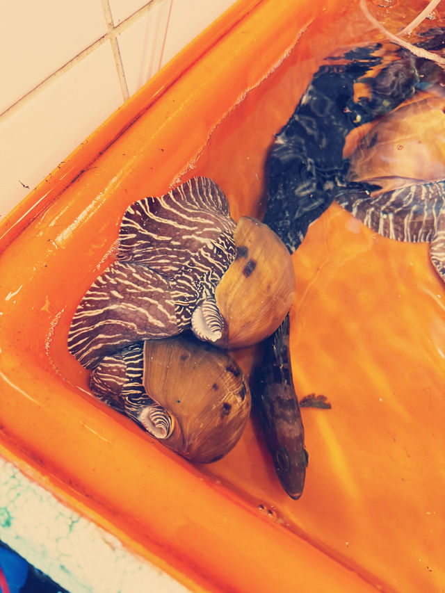 台灣北海岸 龜吼漁港