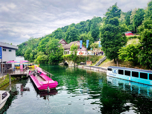 Rhine Falls in Summer – Nature’s Power and Beauty in Full Flow