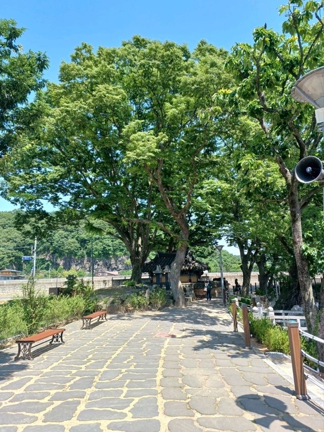 연못 위 고즈넉한 정자에서의 한가로운 산책