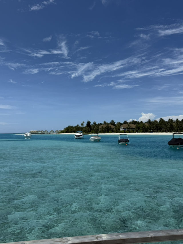 馬爾代夫的硬石酒店（Hard Rock Hotel Maldives）