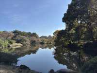 🌸 Serenity in the City: Morning Strolls & Scenic Sips at Shinjuku Gyoen 🌿