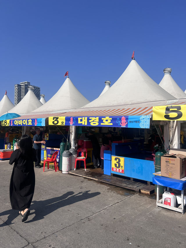 강릉, 속초 1박 2일 여행🩵💙🤍