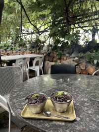 Namcheon Green Tea Patbingsu – Busan