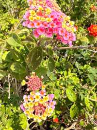 Atami in Summer: Hot Springs, Fireworks & Seaside Escapes Near Tokyo