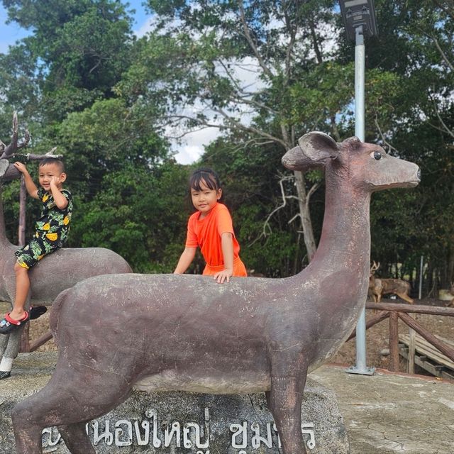 สะพานชมกวาง