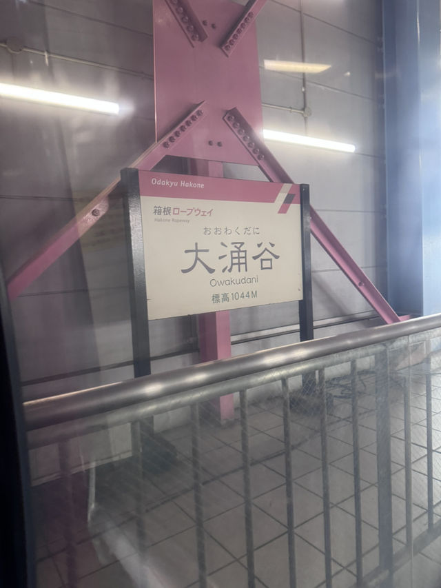 箱根水上鳥居與地獄長壽蛋