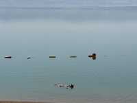 一生要來一次的死海漂浮