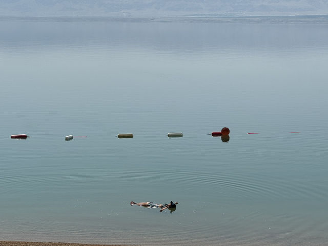 一生要來一次的死海漂浮