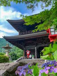 🍇ぶどうと仏の物語。大善寺で心静まる歴史旅⛩️