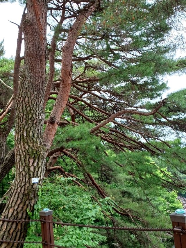 사진 찍기 좋은 바위와 하늘의 조화