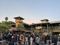 🏰 Disneyland Tokyo – A Magical Day for the Whole Family