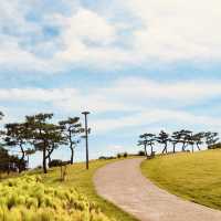 Jangdo Island, Yeosu: An Artistic Escape Where Nature Meets Creativity