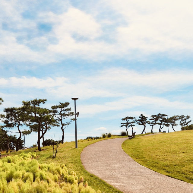 Jangdo Island, Yeosu: An Artistic Escape Where Nature Meets Creativity