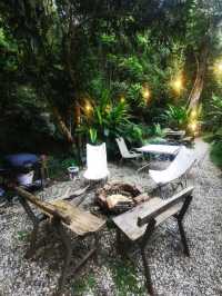 🍃 นอนริมลำธารกันมั้ย? ที่ Bee Forest แม่ออน 🌿