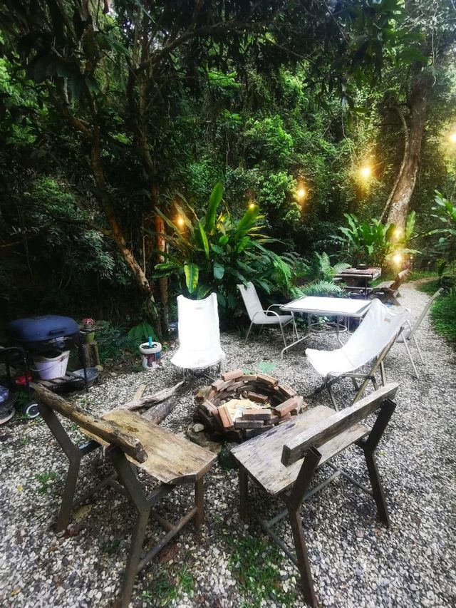 🍃 นอนริมลำธารกันมั้ย? ที่ Bee Forest แม่ออน 🌿