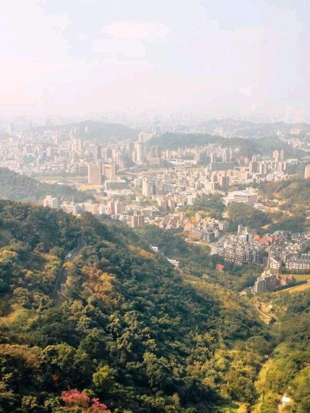 Panoramic Views