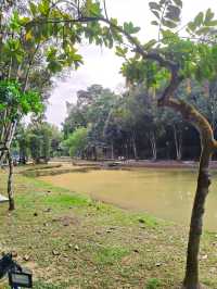 Hidden Gem: Discover Johor Bahru's Best-Kept Secret for Family Fun & Nature.
