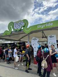 SKYLINE LUGE BEST! 