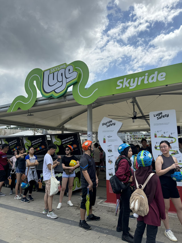 SKYLINE LUGE BEST! 