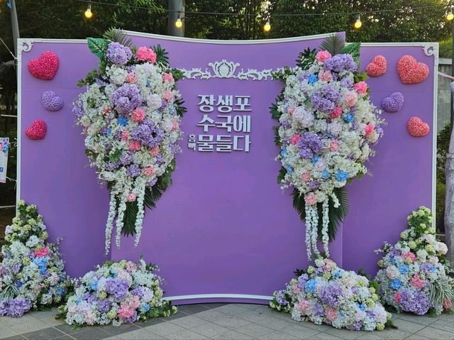 Hydrangea festival at Jangsaengpo Whale museum