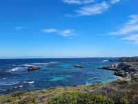A Quokka Selfie, Ocean Breeze & Ferry Views – My Perfect Day at Rottnest Island!