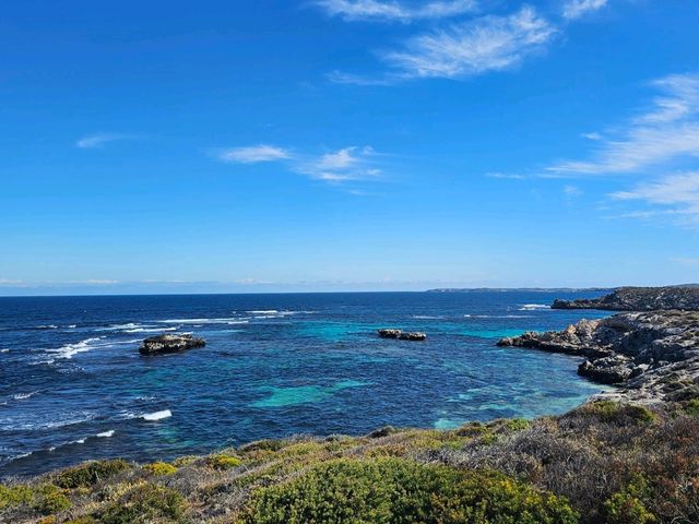 A Quokka Selfie, Ocean Breeze & Ferry Views – My Perfect Day at Rottnest Island!