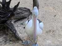 Featherdale Sydney Wildlife Park