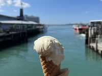 ⚓ Auckland Downtown Ferry Terminal｜渡往海灣與島嶼的起點