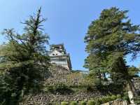 日本現存12天守-高知城