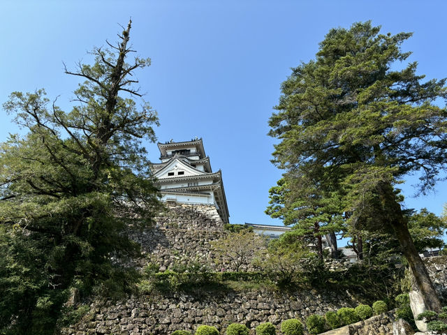 日本現存12天守-高知城