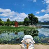 Chill at Dumulmeori