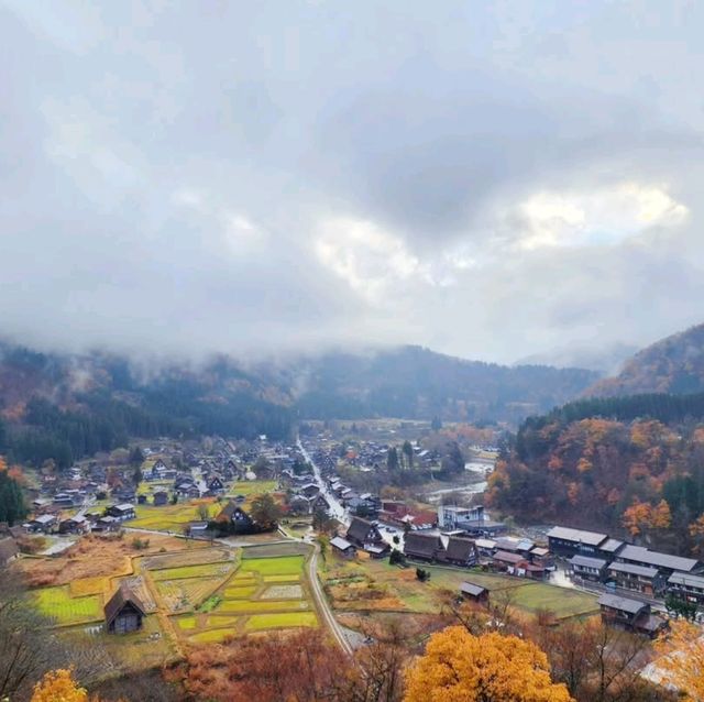 合掌村🌱世界文化遺產🎈一日遊行程⚡️名古屋必去景點