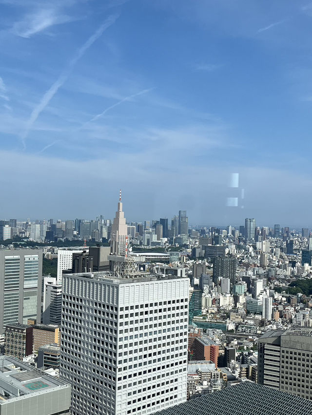 🏢【新宿都庁展望台】無料で東京の絶景を楽しめる穴場スポット！