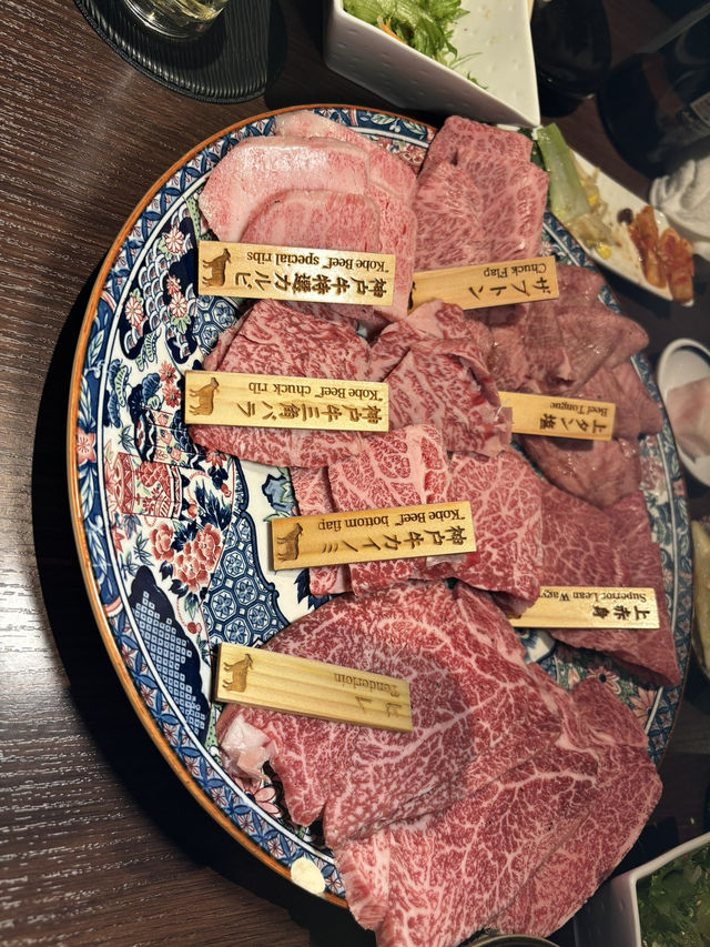 인생 첫 도쿄투어 다녀왔습니다!