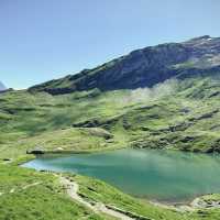 Alpine Freedom: A Solo Summer Adventure in the Bernese Oberland