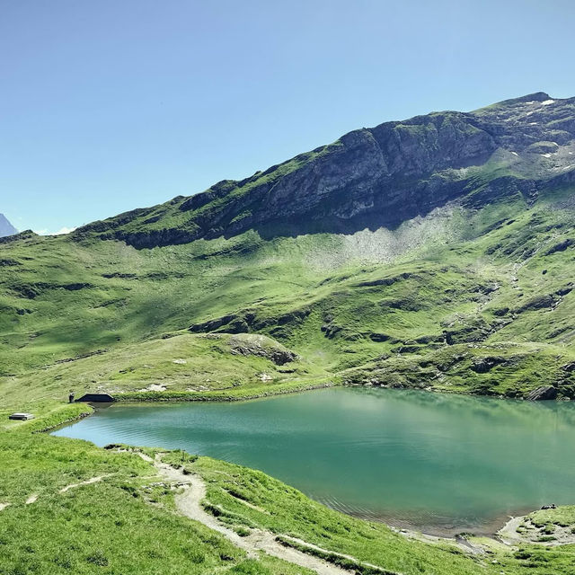 Alpine Freedom: A Solo Summer Adventure in the Bernese Oberland