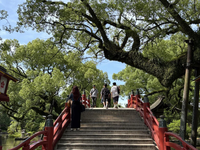 My Fukuoka Highlights: Temples, Art, and Evening Charms! 🌸🍜
