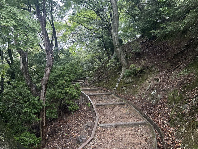 若草山：在奈良的自然懷抱中，享受壯麗的景色與心靈的寧靜！