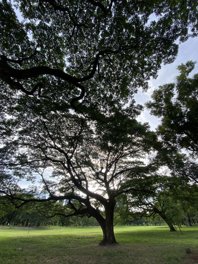 ชวนมาสูดอากาศธรรมชาติ ที่สวนรถไฟ 🌳🌱
