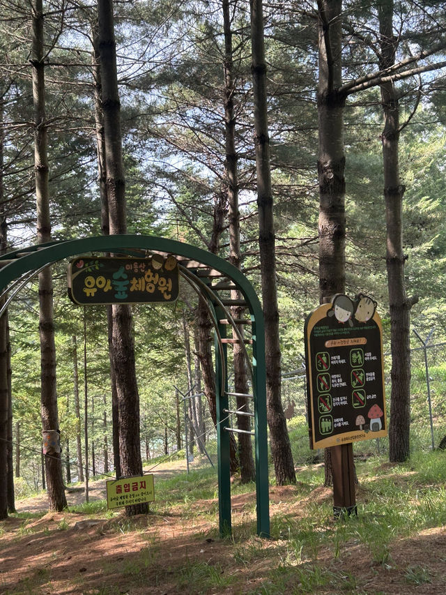 🌿 사계절 숲속 산책, 청주의 힐링 명소 – 미동산수목원