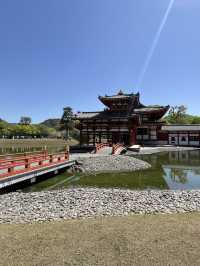 🏯🌸 Byōdō-in Temple – Heaven Reflected in Water