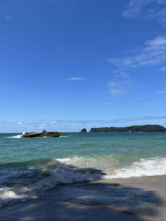 紐西蘭旅遊景點—🌊 Cathedral Cove｜自然雕刻的海上拱門美景 