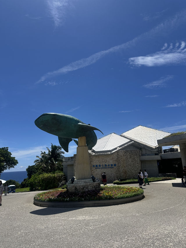 沖繩美麗海水族館🐬