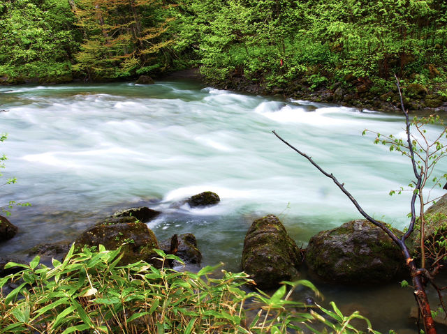 🍃 Nature’s Majesty at Sounkyo Gorge