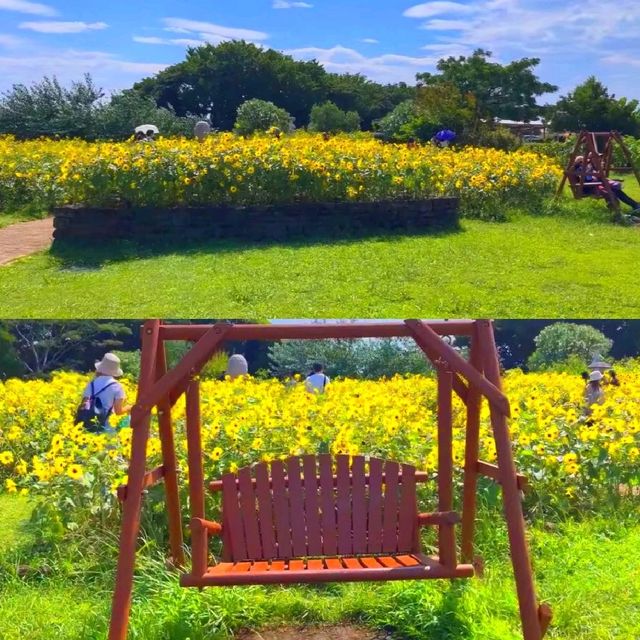長井海之手公園