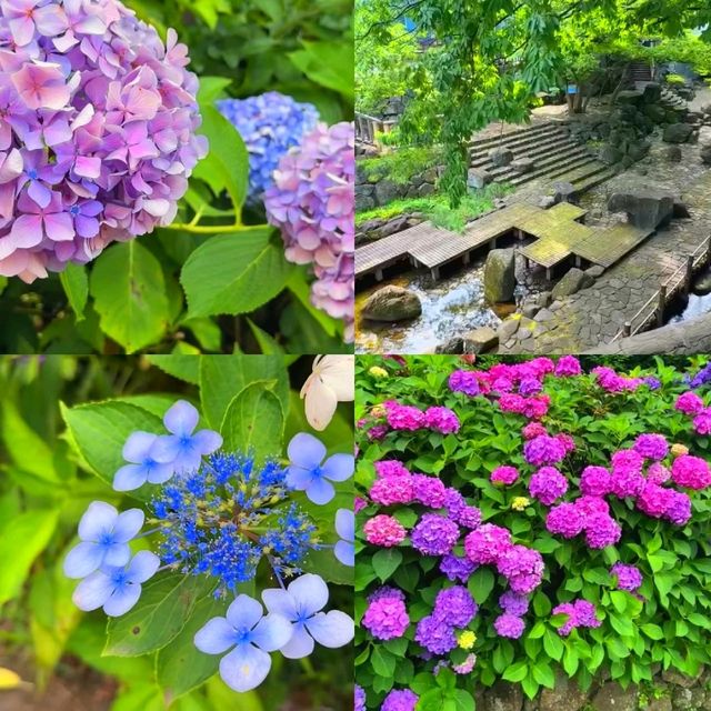 飛鳥山公園