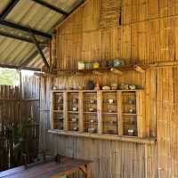Sawanbondin Tea House & Experience